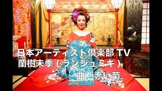 赤い菊　カラオケ  蘭樹未季　日本アーティスト倶楽部TV 一般社団法人日本アーティスト倶楽部　蘭樹未季　赤い菊フルコーラス