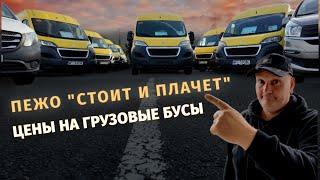 Цены на грузовые бусы в Польше Вроцлав  #PEUGEOT BOXER #RENAULT TRAFFIC # FORD TRANSIT #IVECO