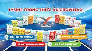 LYSINE Trong Thức Ăn GROWMAX: Bí Quyết Giúp Tôm Lớn Nhanh, Kháng Bệnh, Thịt Chắc!