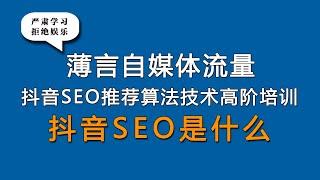 抖音SEO是什么？抖音SEO怎么做？薄言抖音seo抖音运营培训课程，是新媒体运营工作内容重点，也是自媒体平台算法推荐和算法技术的体现，因此自媒体学习和新媒体研究决定了自媒体运营的效果