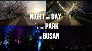 Daejeo Ecological Park, Busan, Korea [부산 대저생태공원] Feel the night and day walk at the Park in Busan 4K