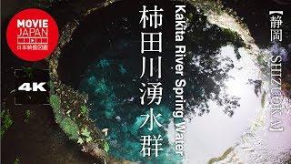 静岡　柿田川湧水群  4K  Kakita River Spring Water