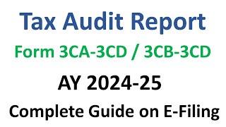 Tax Audit Report under section 44AB for AY 2024 25 | 3CA-3CD | 3CB-3CD | Income Tax