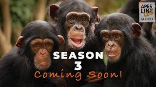 ALU SEASON 3 - COMING SOON