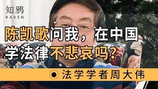 陈凯歌曾问我，在中国学法律不悲哀吗？