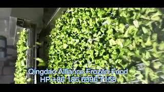 IQF  Broccoli Process