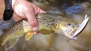 Trout fishing with a Dr Twitch Flats minnow