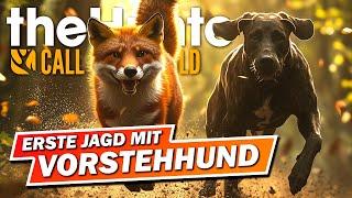 Wir Jagen mit dem VORSTEHHUND im Norden Deutschlands! Call of the Wild -Salzwiesen Park Early Access