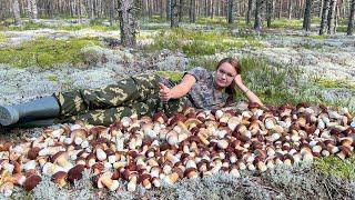 НЕТРОНУТЫЙ ЛЕС, МИЛЛИОН БЕЛЫХ ГРИБОВ БОРОВИКОВ, ЛУЧШАЯ ГРИБАЛКА ГОДА!