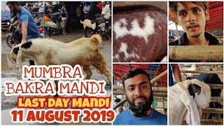 MUMBRA BAKRA MANDI || LAST DAY || 11 AUGUST 2019 || Mr.Vlogger