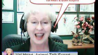 Learning Self Love From Pets! Animal Talk Interview with Val Heart & Eden Koljord