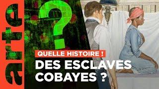 Le gynécologue et les esclaves cobayes | Quelle histoire ! Enquête sur la toile (3/6) | ARTE