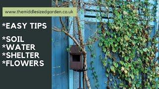 Easy, low maintenance wildlife garden tips - for a beautiful wild garden