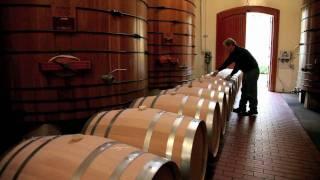 Inspecting New Wine Barrels | Vacuum Seal Test | Winemaking Quality Control