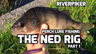 Perch lure fishing - Ned rig part 1(Video 150)