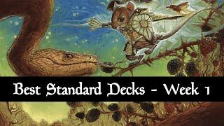 Best Standard Decks - Meta Review | August 2024 - Bloomburrow - Week 1 | MTG Arena