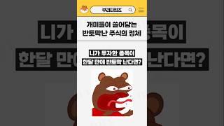 한 달만에 반토막, 절대 주목해야 하는 이유 #shorts #유나이티드헬스그룹 #UNH