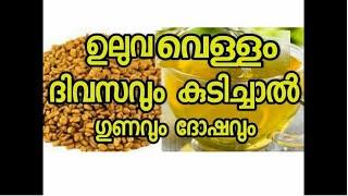 ഉലുവ നിത്യവും ഉപയോഗിക്കുന്നവർ അറിഞ്ഞിരിക്കേണ്ട അഞ്ചു കാര്യങ്ങൾ|| Fenugreek complete vidioe