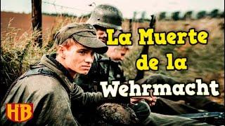 La Aplastante Derrota del Grupo de Ejércitos Centro y Norte Alemán en 1944 | Serie Completa