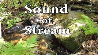 Sound of Stream - Relaxing Water Sound - Birdsong.