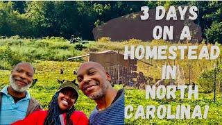 3 Days On A HomeStead In North Carolina!