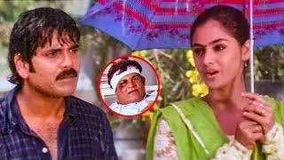 Nagarjuna And Simran Interesting Scene | Kota Srinivasa Rao | Nede Chudandi