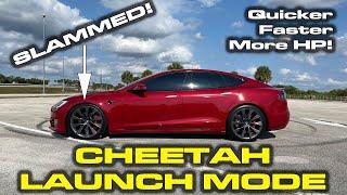 FIRST TEST * Cheetah Launch Mode Testing & Dash Cam Viewer Demonstration * Tesla Model S Performance