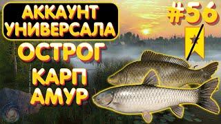 Аккаунт универсала #56 | Амур и Карп | оз. Старый Острог | Русская Рыбалка 4