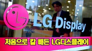 처음으로 칼 빼든 LG디스플레이에 삼성디스플레이도 "특허 소송 중이라 한다"
