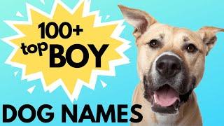 Top 100 Unique MALE Dog Names– Unusual Male Dog Names