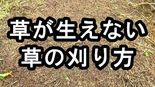 雑草が生えない草の刈り方　雨の多い時期も草が生えてこない草の刈り方とは？イネ科と広葉雑草の違い　耕起・不耕起、どちらが草が生えにくいかも検証