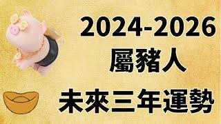 屬豬人未來三年運勢如何（2024年 2025年 2026年）