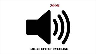 Zoom Sound Effect