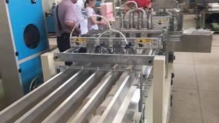 Empaquetadora automática de 48 rollos de papel higiénico