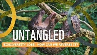 Untangled: Biodiversity loss - how can we reverse it?