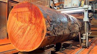 Sawing Process Of Tens Of Thousands Of Years Old Precious Trees Of The World's Largest Timber Factor