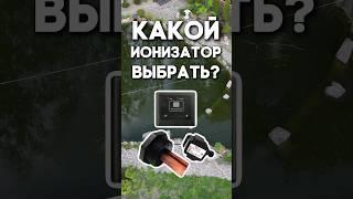 Как избавиться от водорослей в пруду?