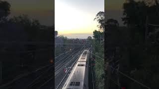 Sydney Waratah train A set on T1 line passes by during sunset