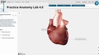 Pearson's Mastering Anatomy & Physiology