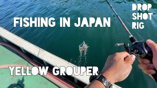 Fishing in Japan - Drop Shot Rig, Keitech Swing Impact, Yellow Grouper