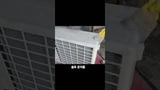 비둘기 때문에 오염이 심한 에어컨 실외기 청소 #에어컨청소