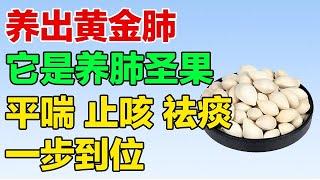 养出黄金肺！它是养肺圣果，平喘、止咳、祛痰，一步到位【养生有道】