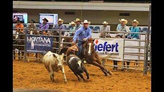 TEAM PENNING COMPETITION •  CHEYENNE, WYOMING