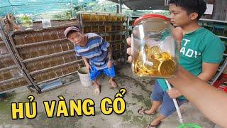 Phát hiện HỦ VÀNG CỔ tại Trại Cá Nghĩa Hiền Betta và cái kết