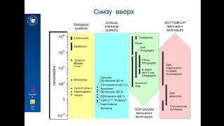 Тема 1. Введение. От молекулярной к супрамолекулярной химии.