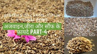 Benefits Of Carom ,Cumin & Fennel Seeds |अजवाइन,जीरा और सौंफ के फायदे ! Part-4