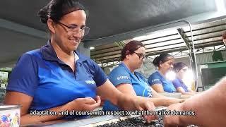 CACCIA BEANS