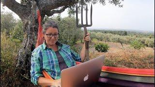 Former Digital Nomad Moves Solo Off Grid to Central Portugal - Part 1