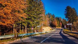 Ukraine, Carpathians  Colors of Autumn, Picturesque Mountains, Driving 4K | Autumn Relaxation, ASMR