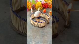 Make Egg Poached Very Testy. Episode 20 #shorts #viralvideo #experiment #rajput